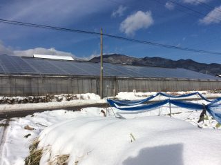 20161128