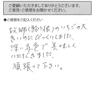 voice008