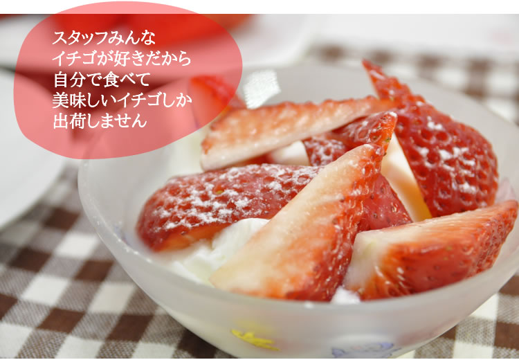 スタッフみんな イチゴが好きだから 自分で食べて 美味しいイチゴしか 出荷しません