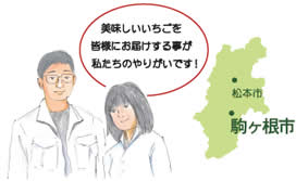 駒ヶ根いちご園の地図